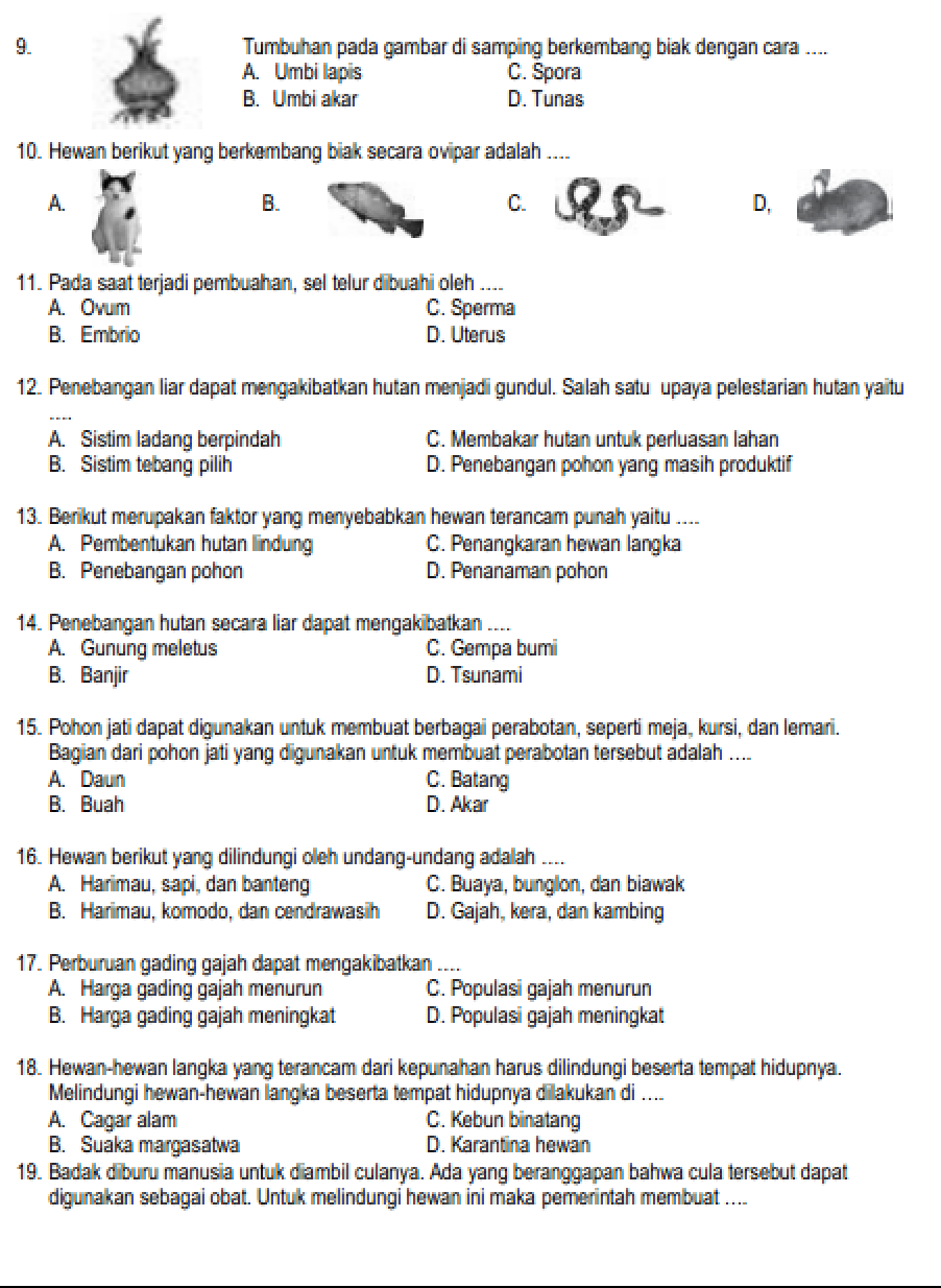 20 Latihan Soal BAB 5 IPAS Kelas 6 SD Semester 2 Kurikukulum Merdeka