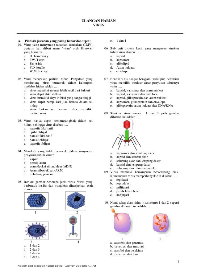 Contoh Soal Biologi Kelas 10 Semester 1 Dalchaebi Contoh Soal Biologi Kelas 10 Semester 1 Dalchaebi